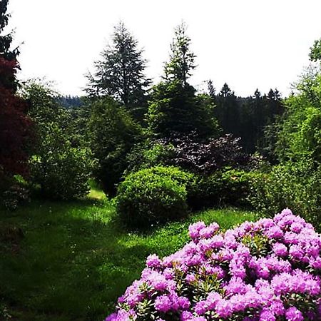 Green Corner Nuerburg 外观 照片